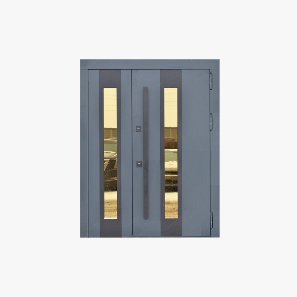 Profilnet Custom Aluminum Panel Door Solutions